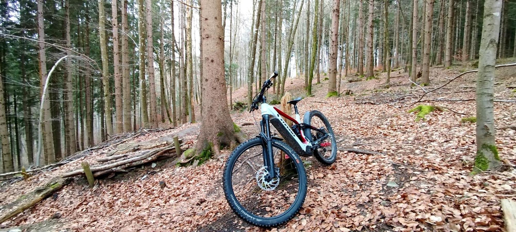 Ferienwohnung Hecht - Biketrail Fun & Relaxing Wolfegg Buitenkant foto